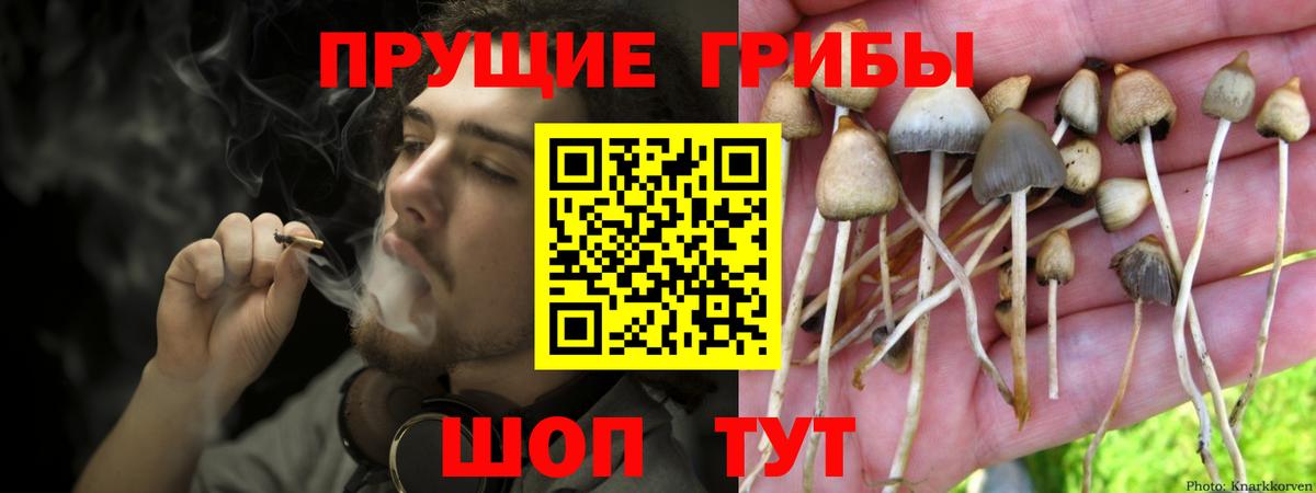 Псилоцибиновые грибы Psilocybine cubensis  Вход с VPN  купить закладку  Галлюциногенные грибы мухоморы  Великий Устюг 
