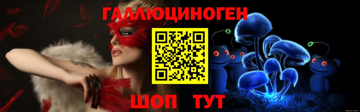 Псилоцибиновые грибы прущие грибы Великий Устюг